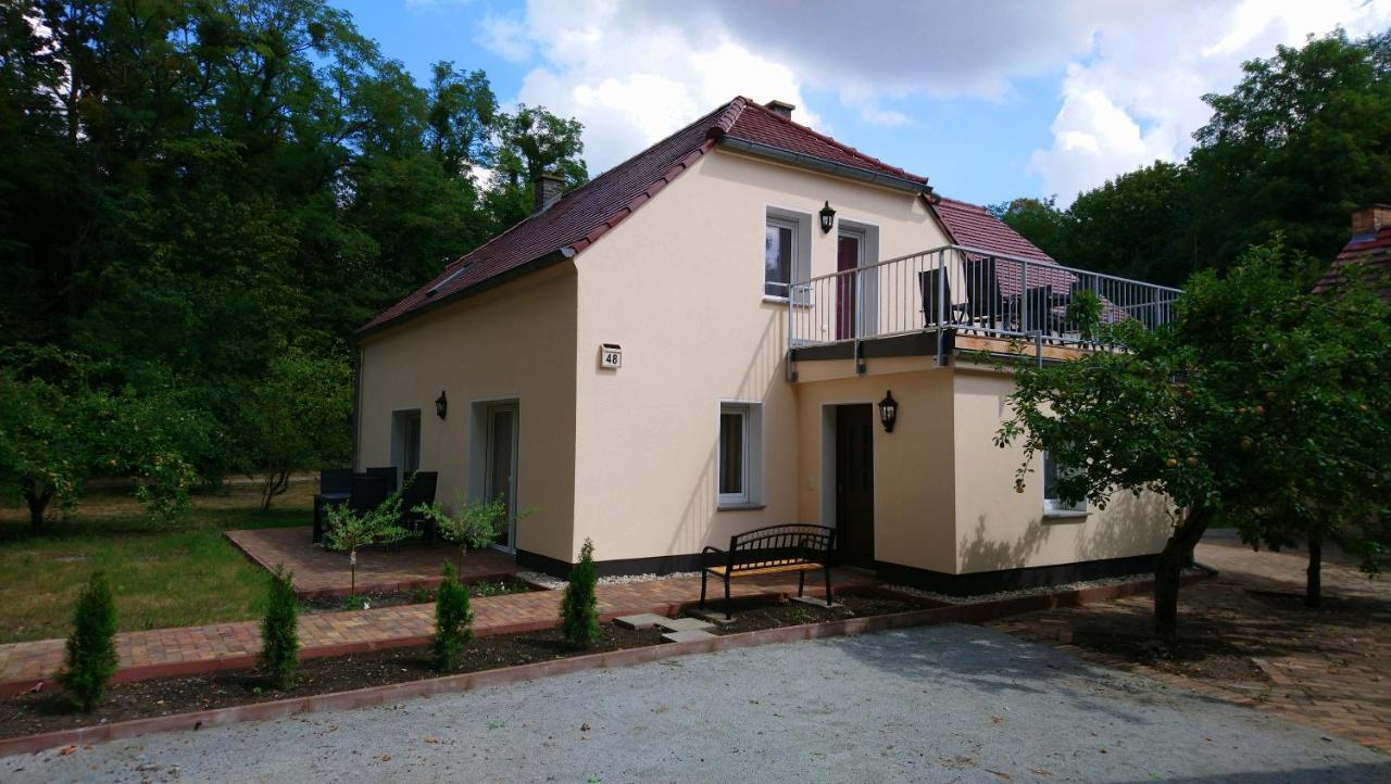 Ferienwohnung Haus Waldidyll Lauta Exterior foto